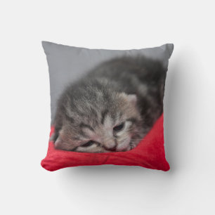 Cojín Decorativo Gatito lindo