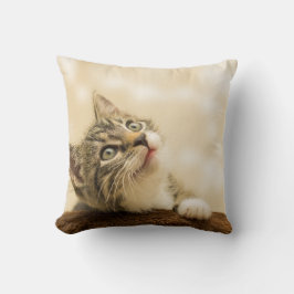 Cojín Decorativo Gatito lindo con una pata al aire libre