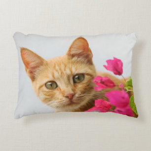 Cojín Decorativo Gatito lindo del jengibre que le mira,
