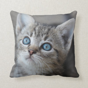 Cojín Decorativo Gatito lindo en el jardín