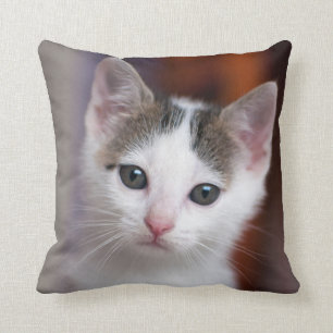 Cojín Decorativo Gatito manchado blanco