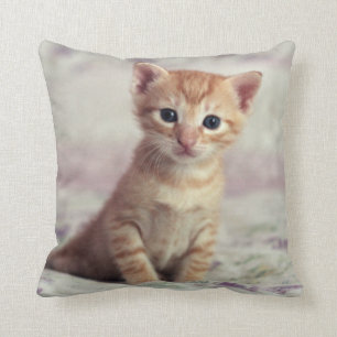 Cojín Decorativo Gatito minúsculo del jengibre