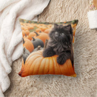Gatito negro de Halloween en una calabaza