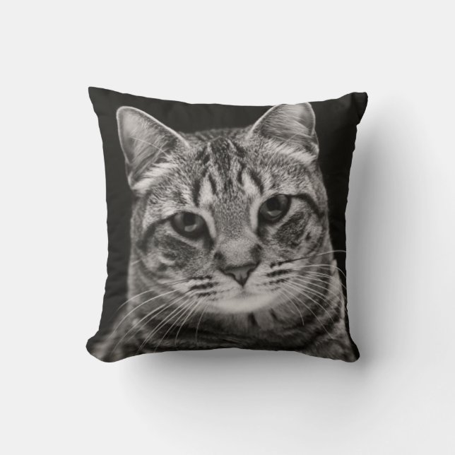 Cojín Decorativo Gatito negro del Tabby (Anverso)