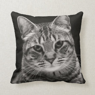 Cojín Decorativo Gatito negro del Tabby