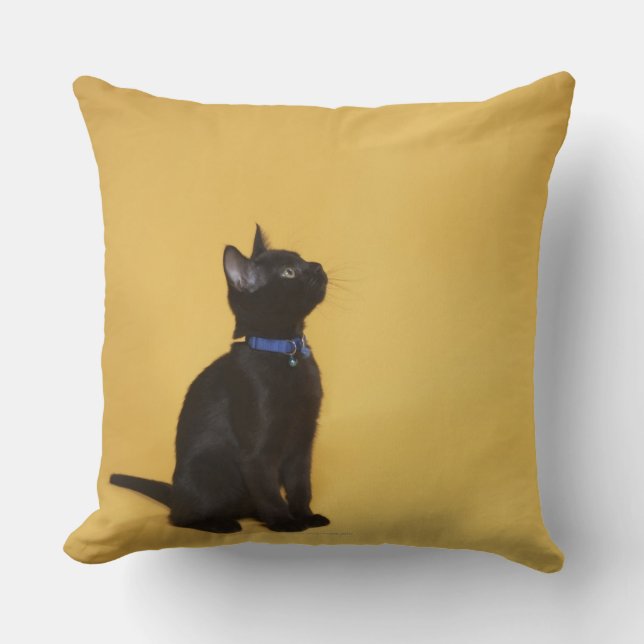 Cojín Decorativo Gatito negro en cuello (Anverso)