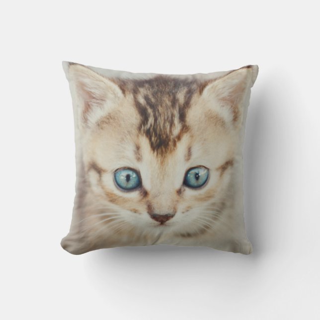 Cojín Decorativo Gatito observado azul (Anverso)