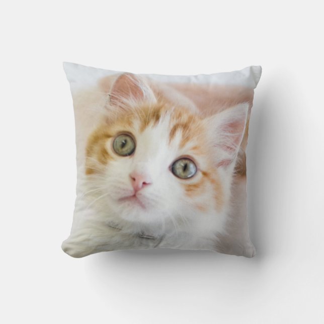 Cojín Decorativo Gatito observado azul dulce (Anverso)