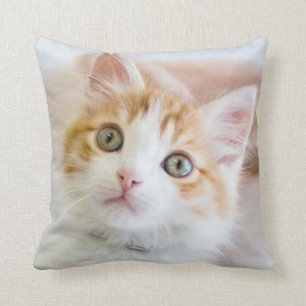 Cojín Decorativo Gatito observado azul dulce