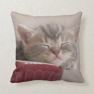Cojín Decorativo Gatito que duerme en un cuenco