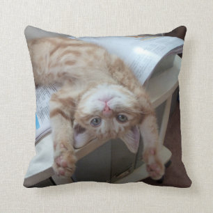 Cojín Decorativo Gatito que se relaja