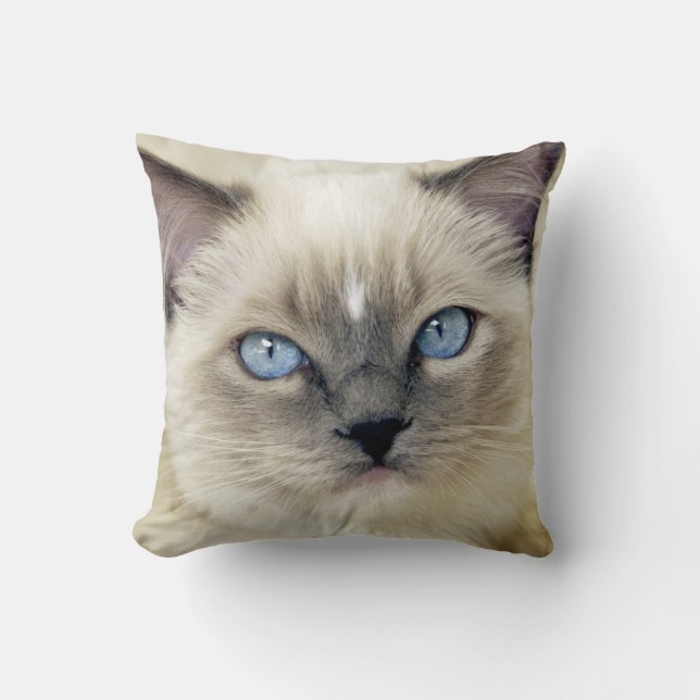 Cojín Decorativo Gatito Ragdoll (Anverso)