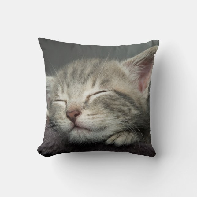 Cojín Decorativo Gatito soñoliento (Anverso)