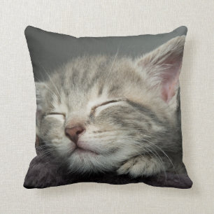 Cojín Decorativo Gatito soñoliento