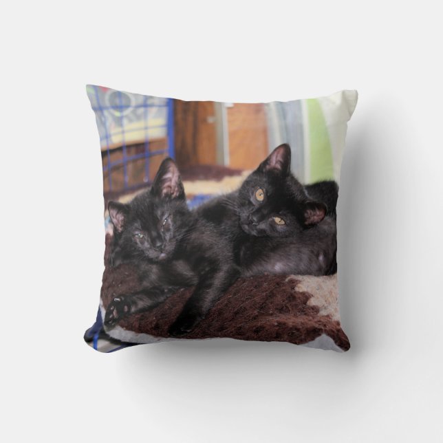 Cojín Decorativo Gatitos (Anverso)
