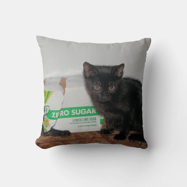 Cojín Decorativo Gatitos (Anverso)