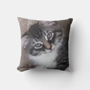 Cojín Decorativo Gatitos Adorables Pillow de 2 lados