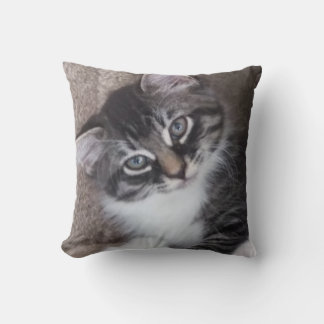 Cojín Decorativo Gatitos Adorables Pillow de 2 lados