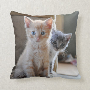 Cojín Decorativo Gatitos curiosos