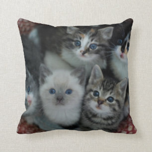 Cojín Decorativo Gatitos en una cesta