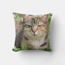Cojín Decorativo Gato