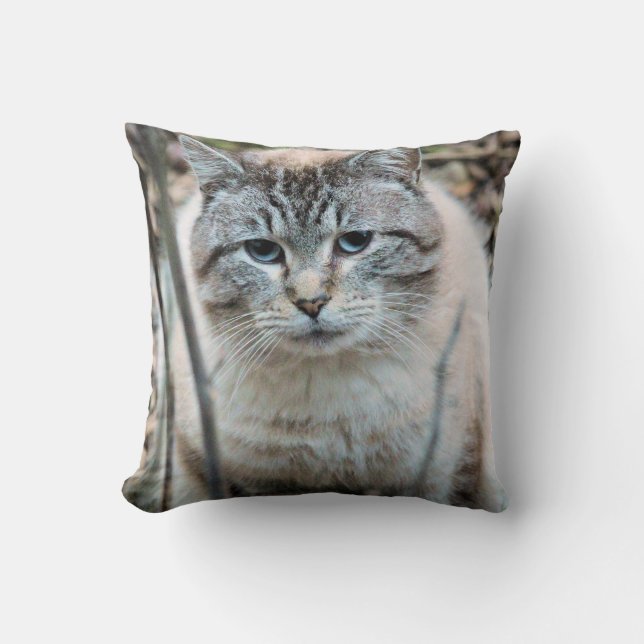 Cojín Decorativo Gato (Anverso)