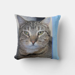 Cojín Decorativo Gato