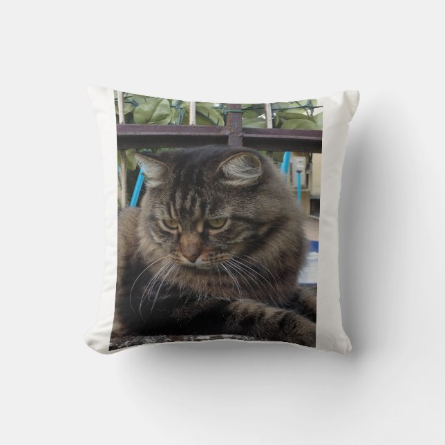 Cojín Decorativo Gato (Anverso)