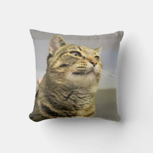 Cojín Decorativo Gato