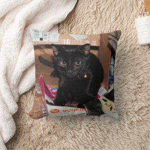 Cojín Decorativo Gato
