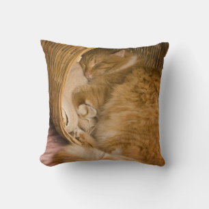 Cojín Decorativo Gato atigrado naranja durmiendo en cesto