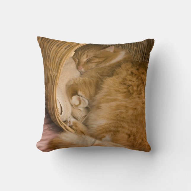 Cojín Decorativo Gato atigrado naranja durmiendo en cesto (Anverso)
