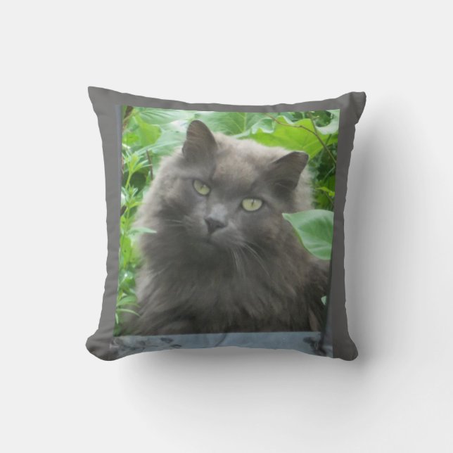 Cojín Decorativo Gato azul ruso de larga duración (Anverso)