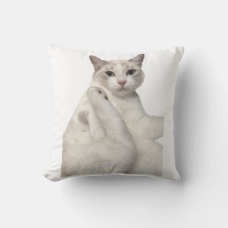 Cojín Decorativo Gato Blanco Adorable Limpiando Pata Divertido Aman