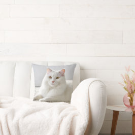Cojín Decorativo Gato Blanco Posando Sobre Alfombra Blanca
