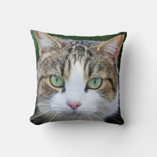 Cojín Decorativo Gato blanco visto - amantes de las fotos de gatos