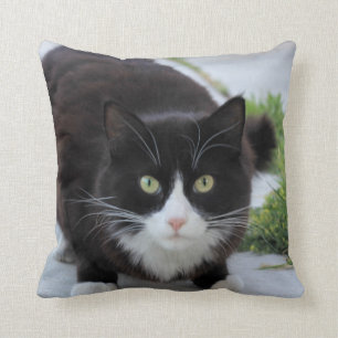 Cojín Decorativo Gato blanco y negro