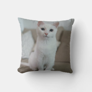 Cojín Decorativo Gato blanco   Zazzle_Growshop.