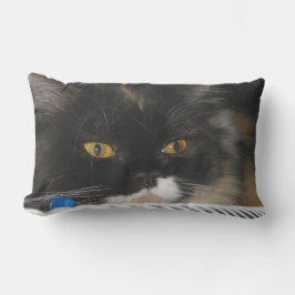 Cojín Decorativo Gato de aguijón