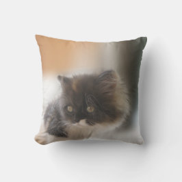 Cojín Decorativo Gato de corte