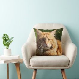 Cojín Decorativo Gato de la casa del naranja