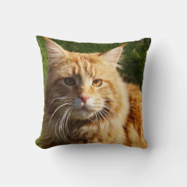 Cojín Decorativo Gato de la casa del naranja