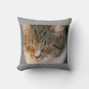 Cojín Decorativo Gato de tabla