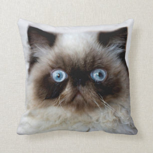 Cojín Decorativo Gato divertido