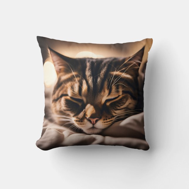 Cojín Decorativo Gato durmiendo (Anverso)