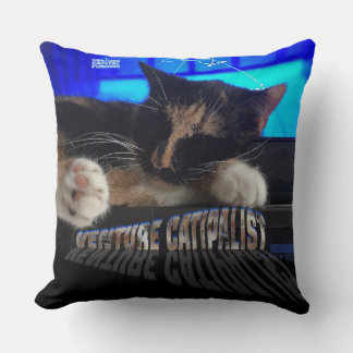 Cojín Decorativo Gato durmiente