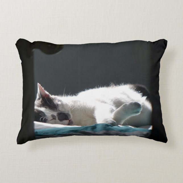 Cojín Decorativo Gato en mancha de sol no molestar (Anverso)