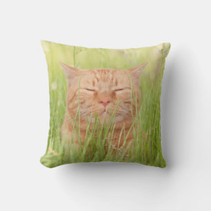 Cojín Decorativo Gato feliz