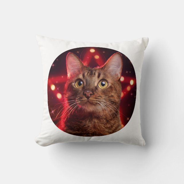 Cojín Decorativo Gato habanero marrón (Raza con fondo estrellado) (Anverso)