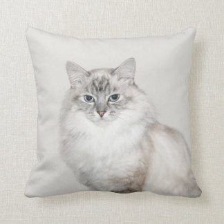 Cojín Decorativo Gato Himalayan del punto azul